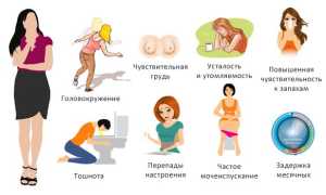 Все об УЗИ при ЭКО беременности