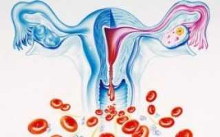 Месячные при беременности на ранних сроках