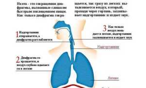 Что делать, если замучала икота при беременности на ранних сроках