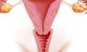 Первые дни после родов: как помочь матке восстановиться