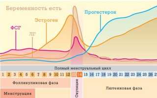 Менструальный цикл и планирование беременности: все, что стоит знать будущей маме