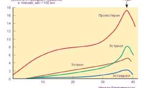 Как ведет себя кожа во время беременности