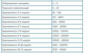 Как проявляет себя ЭКО беременность на ранних сроках, особенности ведения будущей мамы