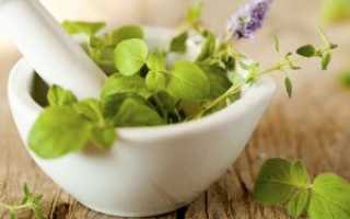 Травы-помощники при маточных кровотечениях