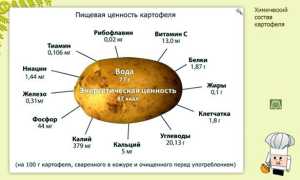 Реально ли поможет после родов картофельная диета для похудения