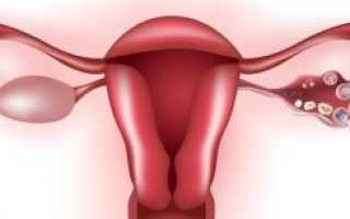 Основные причины, почему болят яичники после родов, и правильные действия мамы