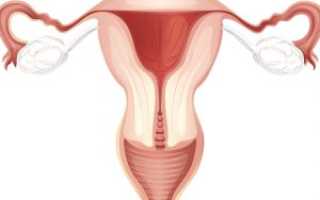Эрозия после родов: симптомы, диагностика, лечение и профилактика