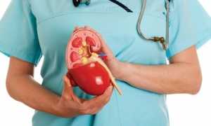 Пиелонефрит — коварное заболевание во время беременности