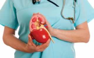 Пиелонефрит — коварное заболевание во время беременности