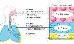 Разрешенные ингаляции при беременности: как правильно делать и с чем