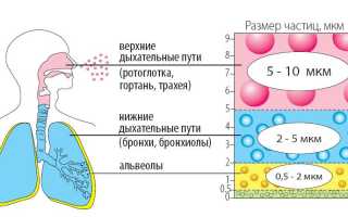 Разрешенные ингаляции при беременности: как правильно делать и с чем