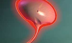 Почему возникает и чем лечится цистит у молодой мамы?