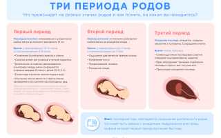 Точные данные, сколько по времени длятся роды