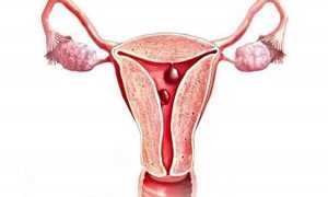 Причины появления и методы лечения полипа после родов