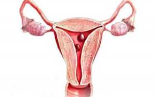 Причины появления и методы лечения полипа после родов