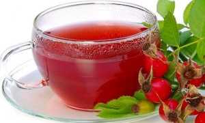 Польза и вред шиповника при беременности на ранних сроках