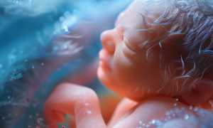 Опасная для плода внутриутробная инфекция: признаки, методы борьбы