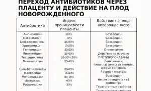 Прием антибиотиков в начале беременности