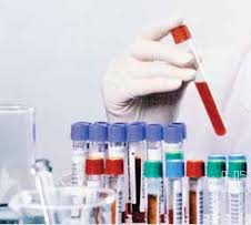 Анализы на ранних срока беременности