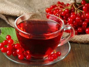 Чай с калиной Чай с калиной при беременности