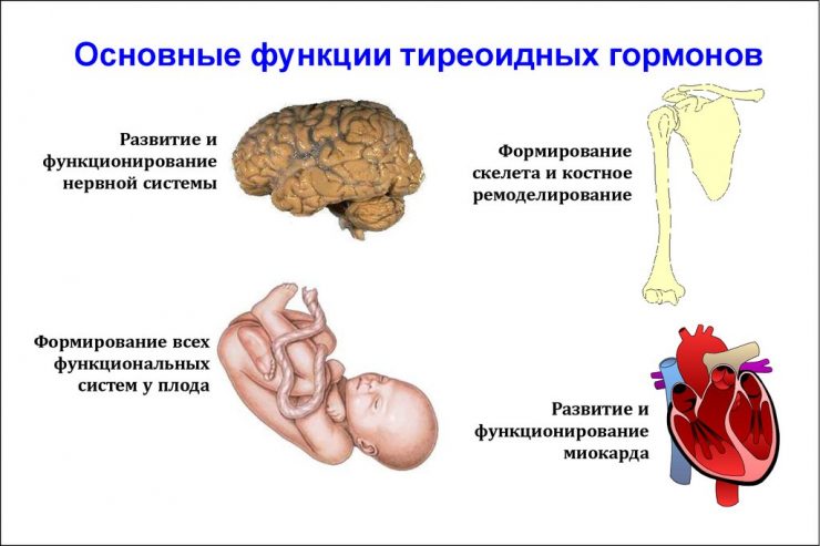 Гипотиреоз при беременности