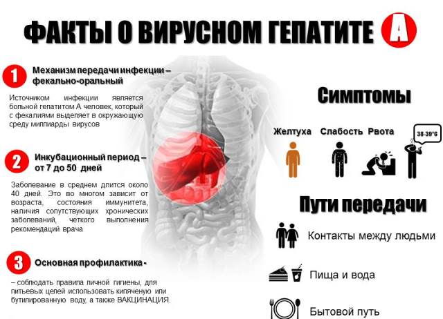 Симптомы гепатита А Гепатит А