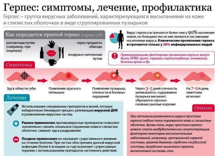 Развитие герпеса Герпес