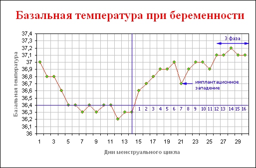 График базальной температуры при беременности на ранних сроках