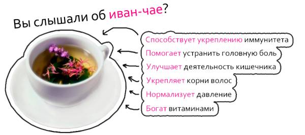 иван-чай Польза Иван-чая