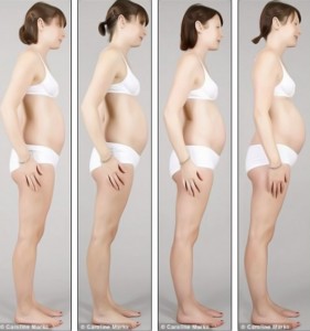 Как меняется фигура на ранних сроках беременности