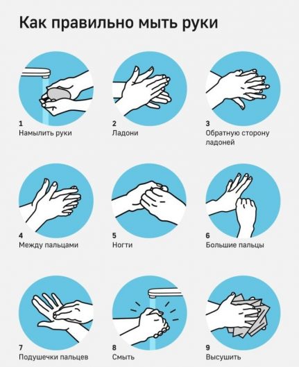 как правильно мыть руки