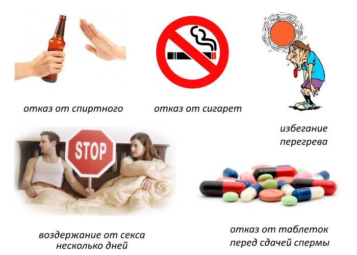 подготовка к сдаче спермы