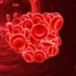 Месячные Месячные при беременности