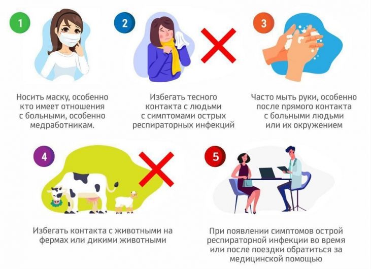 коронавирус