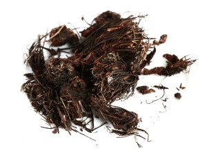 Засушенная красная щетка Настойка из красной щетки для зачатия