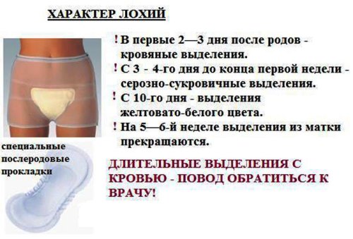 Характер выделений после родов Лохии после родов