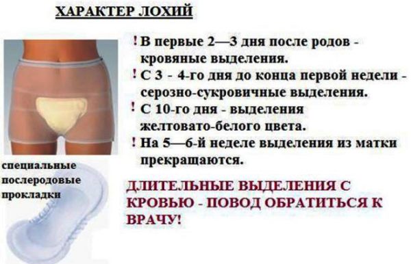 Характер лохий Лохии