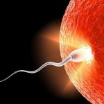 Диагностика зачатия metodi-dignostiki-beremennosti