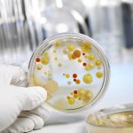 Причины и лечение молочницы после родов Молочница после родов