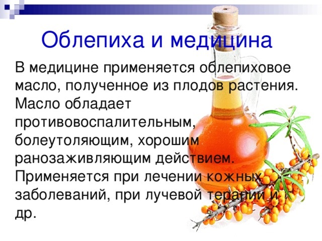 Облепиха при планировании беременности Польза облепихи