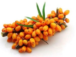 oblepixa-pri-beremennosti-na-rannix-srokax Облепиха при беременности на ранних сроках