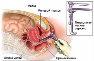 Осмотр на ранних сроках беременности