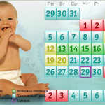 Когда происходит овуляция График базальной температуры