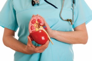 Заболевание почек при беременности