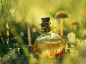 Рецепты с подорожником от бесплодия Настои подорожника при бесплодии