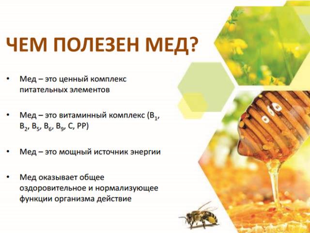 Полезные свойства меда Польза меда