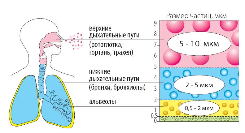 ингаляции при беременности