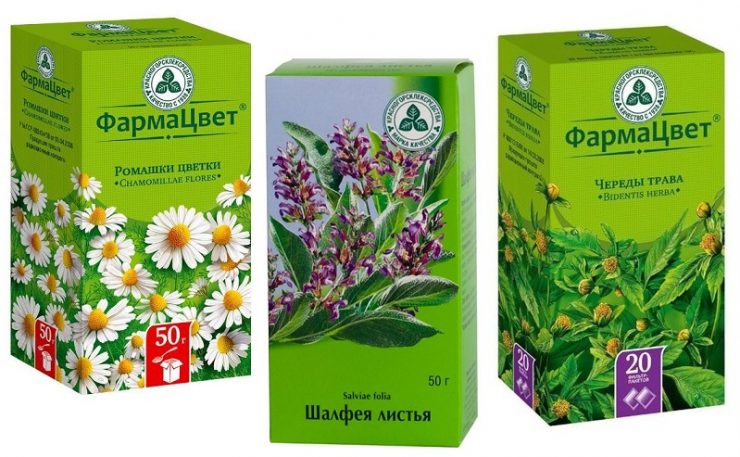 ромашка аптечная. череда и шалфей