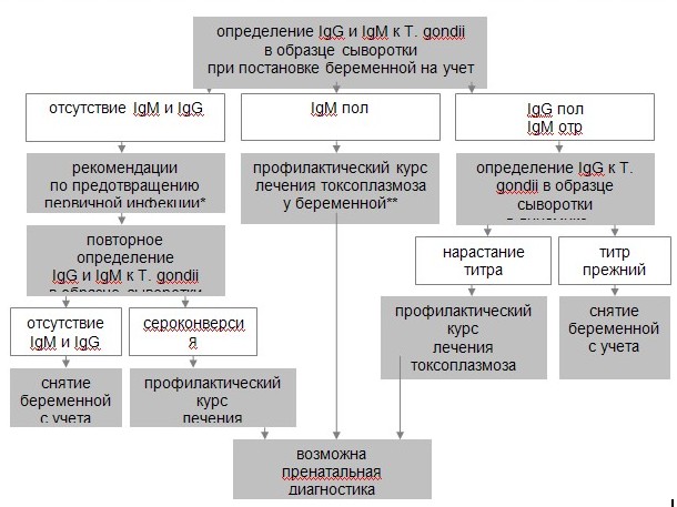 Токсоплазмоз при беременности