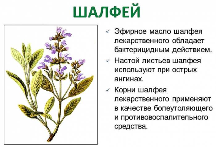 ингаляции при беременности